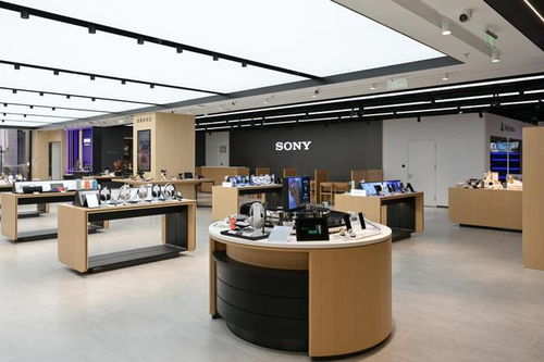 武漢索尼直營店 數百種產品與解決方案一站式體驗